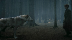extant_GameOfThrones_3x02-DarkWingsDarkWords_3234