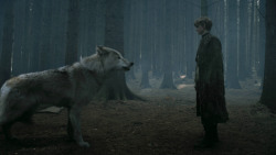 extant_GameOfThrones_3x02-DarkWingsDarkWords_3237