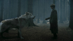 extant_GameOfThrones_3x02-DarkWingsDarkWords_3238