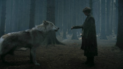 extant_GameOfThrones_3x02-DarkWingsDarkWords_3239