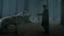 extant_GameOfThrones_3x02-DarkWingsDarkWords_3240