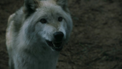 extant_GameOfThrones_3x02-DarkWingsDarkWords_3246