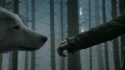 extant_GameOfThrones_3x02-DarkWingsDarkWords_3252