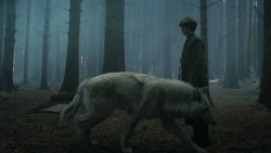 extant_GameOfThrones_3x02-DarkWingsDarkWords_3261