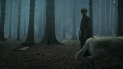 extant_GameOfThrones_3x02-DarkWingsDarkWords_3263