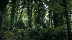 extant_GameOfThrones_3x02-DarkWingsDarkWords_3328