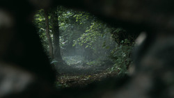 extant_GameOfThrones_3x02-DarkWingsDarkWords_3422