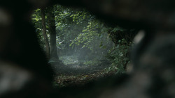 extant_GameOfThrones_3x02-DarkWingsDarkWords_3423