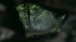 extant_GameOfThrones_3x02-DarkWingsDarkWords_3426