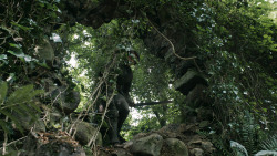 extant_GameOfThrones_3x02-DarkWingsDarkWords_3747