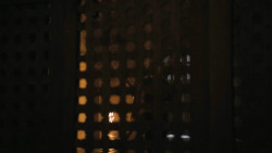 extant_GameOfThrones_3x02-DarkWingsDarkWords_4889