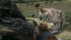 extant_GameOfThrones_3x02-DarkWingsDarkWords_4921
