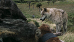 extant_GameOfThrones_3x02-DarkWingsDarkWords_4922