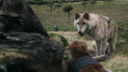 extant_GameOfThrones_3x02-DarkWingsDarkWords_4923