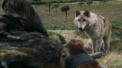 extant_GameOfThrones_3x02-DarkWingsDarkWords_4924