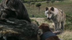 extant_GameOfThrones_3x02-DarkWingsDarkWords_4925