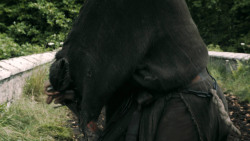 extant_GameOfThrones_3x02-DarkWingsDarkWords_5763