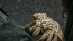 extant_GameOfThrones_3x03-WalkOfPunishment_1341