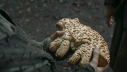 extant_GameOfThrones_3x03-WalkOfPunishment_1343