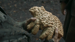 extant_GameOfThrones_3x03-WalkOfPunishment_1345