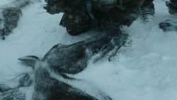 extant_GameOfThrones_3x03-WalkOfPunishment_1875