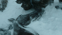 extant_GameOfThrones_3x03-WalkOfPunishment_1876