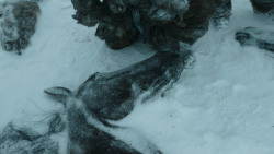 extant_GameOfThrones_3x03-WalkOfPunishment_1877