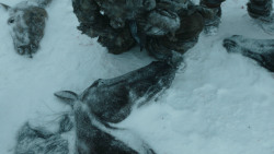 extant_GameOfThrones_3x03-WalkOfPunishment_1878
