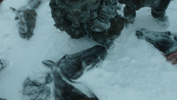 extant_GameOfThrones_3x03-WalkOfPunishment_1879