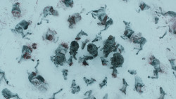 extant_GameOfThrones_3x03-WalkOfPunishment_1889