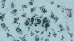 extant_GameOfThrones_3x03-WalkOfPunishment_1890