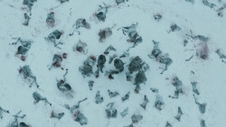 extant_GameOfThrones_3x03-WalkOfPunishment_1891