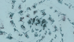 extant_GameOfThrones_3x03-WalkOfPunishment_1892