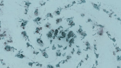 extant_GameOfThrones_3x03-WalkOfPunishment_1893