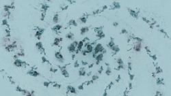 extant_GameOfThrones_3x03-WalkOfPunishment_1894