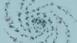 extant_GameOfThrones_3x03-WalkOfPunishment_1895