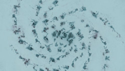 extant_GameOfThrones_3x03-WalkOfPunishment_1896