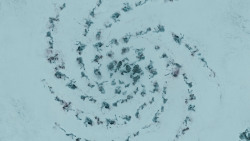extant_GameOfThrones_3x03-WalkOfPunishment_1900
