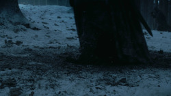 extant_GameOfThrones_3x03-WalkOfPunishment_2086