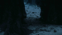 extant_GameOfThrones_3x03-WalkOfPunishment_2093