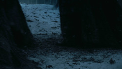 extant_GameOfThrones_3x03-WalkOfPunishment_2094