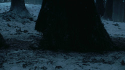 extant_GameOfThrones_3x03-WalkOfPunishment_2095