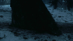 extant_GameOfThrones_3x03-WalkOfPunishment_2097