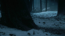 extant_GameOfThrones_3x03-WalkOfPunishment_2101