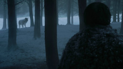 extant_GameOfThrones_3x03-WalkOfPunishment_2137