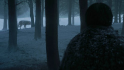 extant_GameOfThrones_3x03-WalkOfPunishment_2139