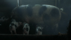 extant_GameOfThrones_3x03-WalkOfPunishment_2369