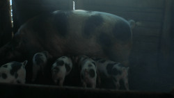 extant_GameOfThrones_3x03-WalkOfPunishment_2373