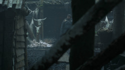 extant_GameOfThrones_3x03-WalkOfPunishment_2440