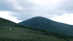extant_GameOfThrones_3x03-WalkOfPunishment_4459
